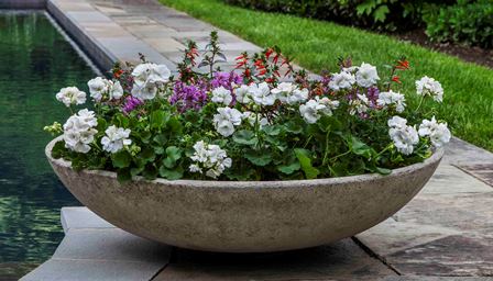 Photo of Campania Textured Zen Bowl - Marquis Gardens