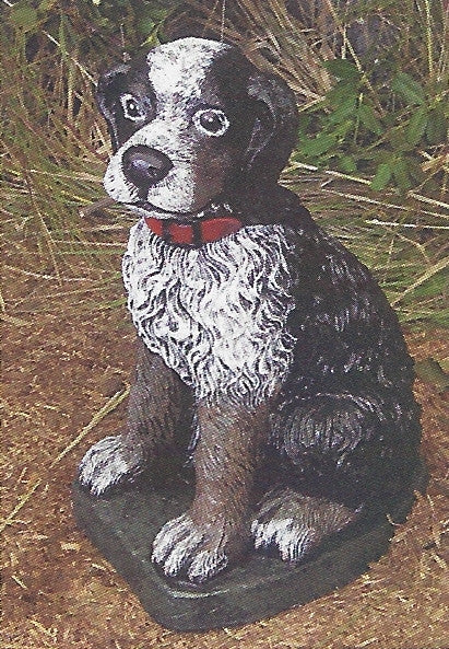 Photo of Puppy with Collar - Marquis Gardens