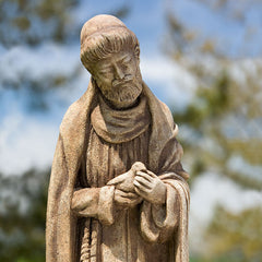Photo of Campania St. Francis with Baby Bird - Marquis Gardens