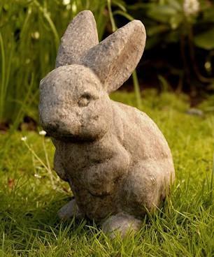 Photo of Campania Rabbit Ears Up - Marquis Gardens