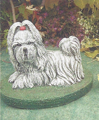 Photo of Scottie / Shitzu Dog - Marquis Gardens