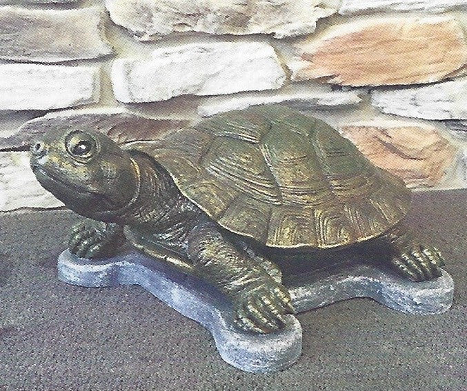 Photo of Turtle (new) - Marquis Gardens