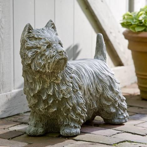 Photo of Campania Westie - Marquis Gardens