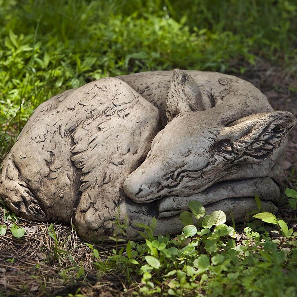 Photo of Campania Sleeping Fawn - Marquis Gardens