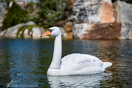 Photo of Aquascape Floating Swan Decoy  - Marquis Gardens