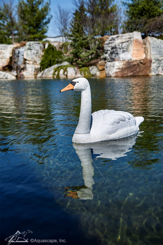 Photo of Aquascape Floating Swan Decoy  - Marquis Gardens