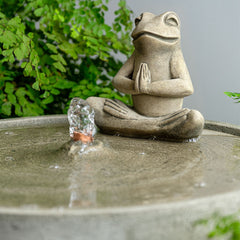 Photo of Campania Yoga Frog Fountain - Marquis Gardens