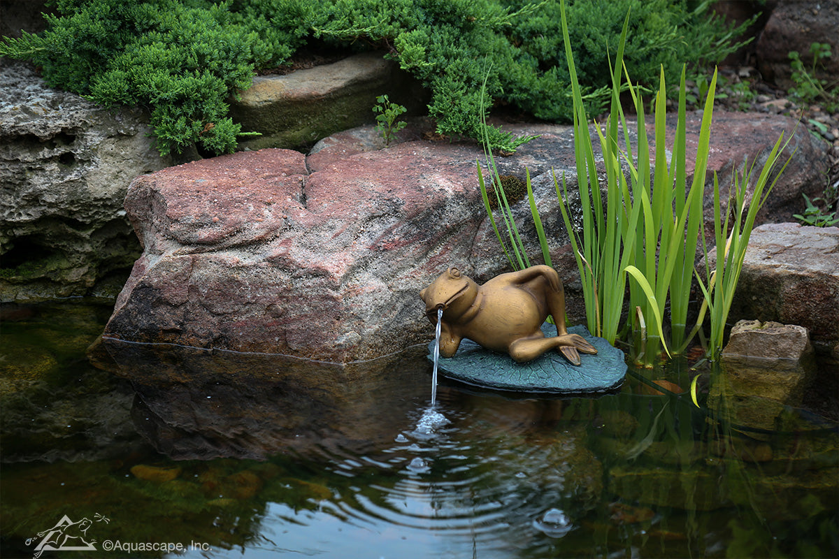 Photo of Aquascape Lazy Frog on Lily Pad Spitter  - Marquis Gardens