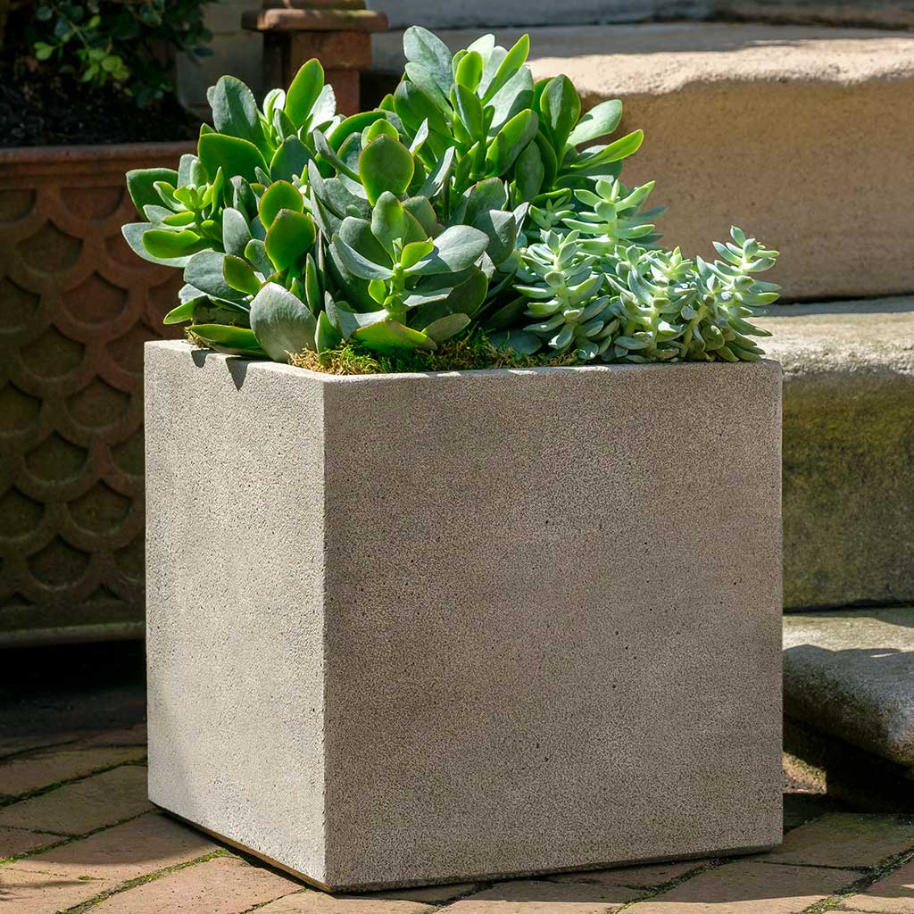 Photo of Campania Cube Planter - Marquis Gardens