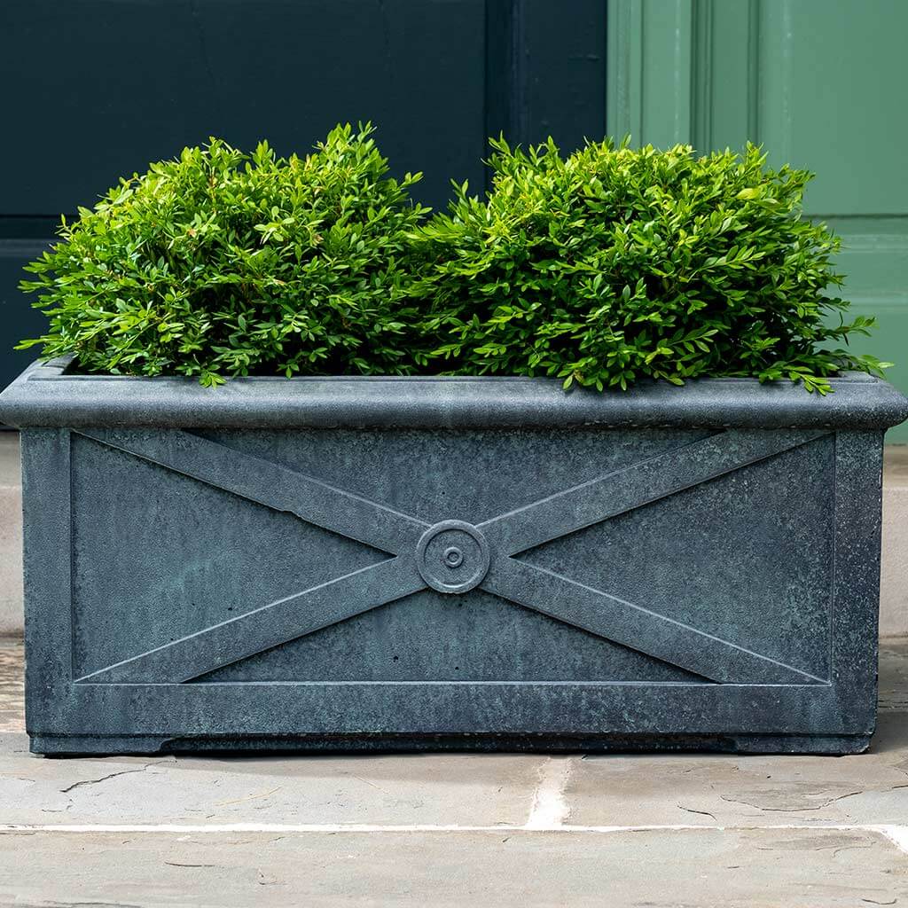 Photo of Campania Directoire Windowbox - Marquis Gardens