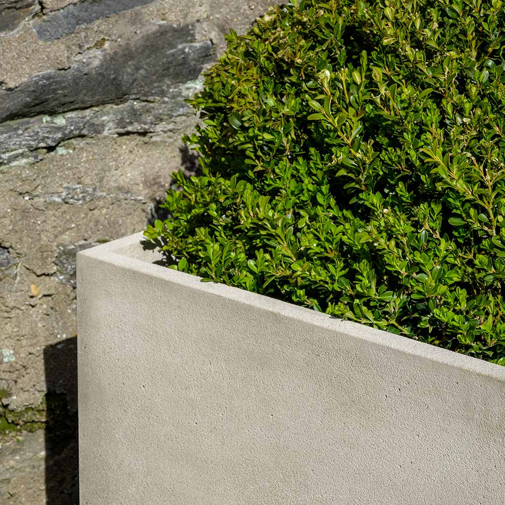 Photo of Campania Cube Planter - Marquis Gardens