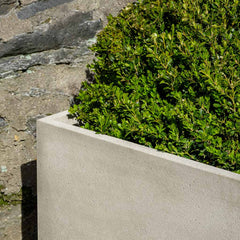 Photo of Campania Cube Planter - Marquis Gardens