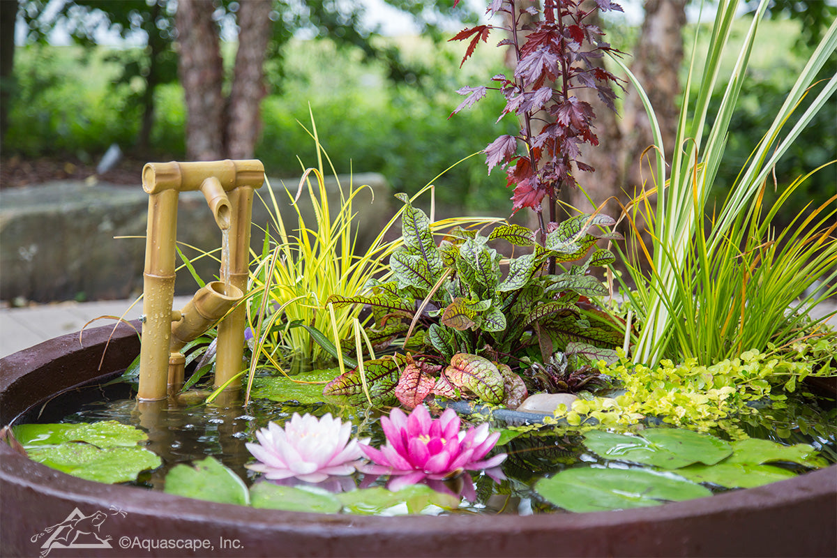 Photo of Aquascape Bamboo Fountains  - Marquis Gardens