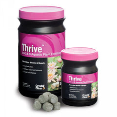 Photo of CrystalClear Thrive - Marquis Gardens